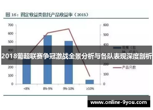 2018葡超联赛争冠激战全景分析与各队表现深度剖析