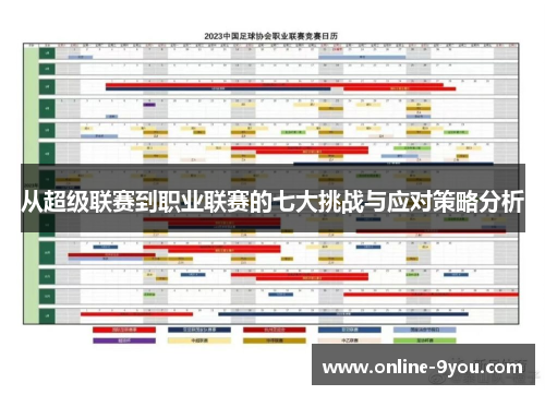 从超级联赛到职业联赛的七大挑战与应对策略分析